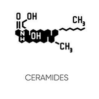 Ceramides + Peptides