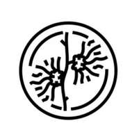 Rice Water + Witch Hazel